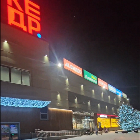 ТЦ «Кедр», ООО «АЛМеталл»